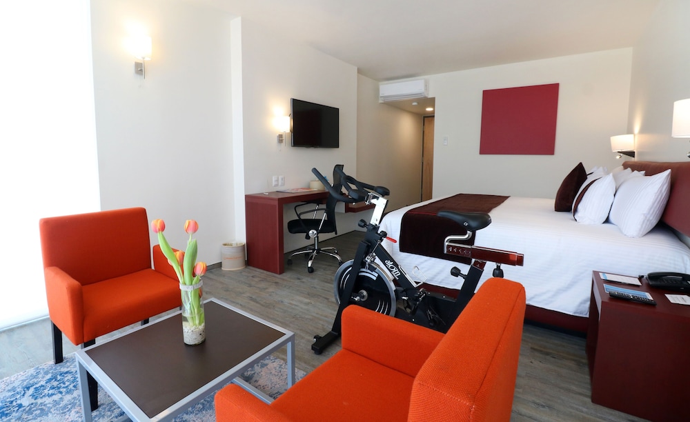 mision express san luis potosi