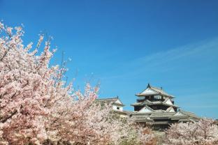 ana crowne plaza matsuyama an ihg hotel