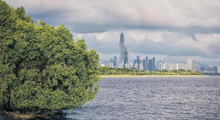 seaview gleetour hotel shenzhen