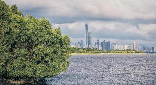 seaview gleetour hotel shenzhen