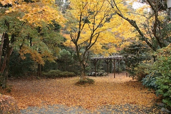 senkyoro