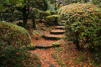 senkyoro