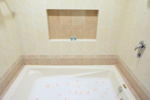 hotel lepanto reforma