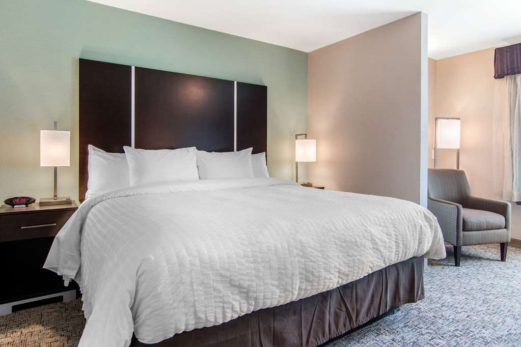 clarion inn and suites atlanta downtown