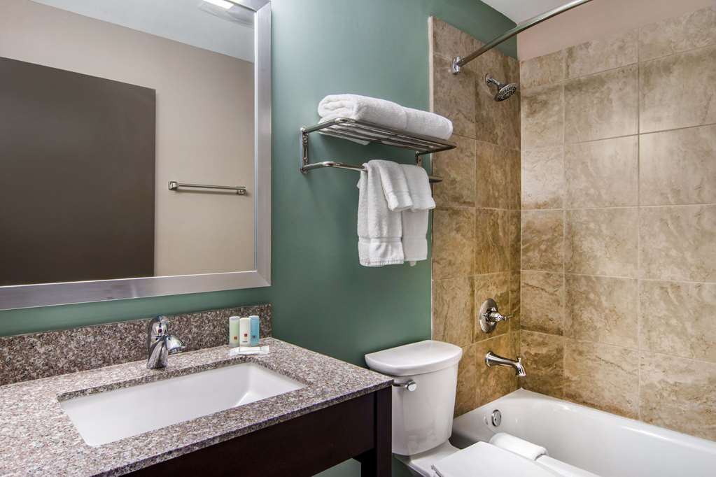 clarion inn and suites atlanta downtown