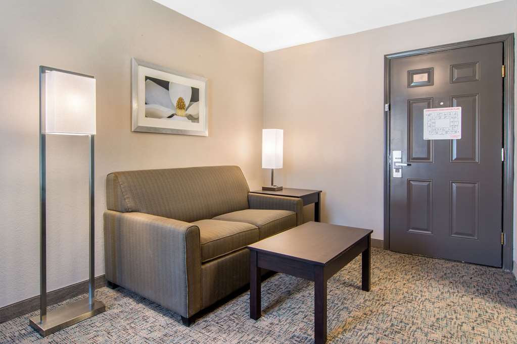 clarion inn and suites atlanta downtown