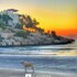 athena premium hotels
