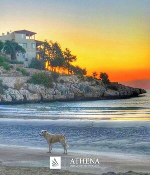 athena premium hotels