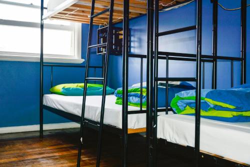 pint on punt backpackers