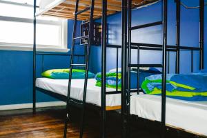 pint on punt backpackers