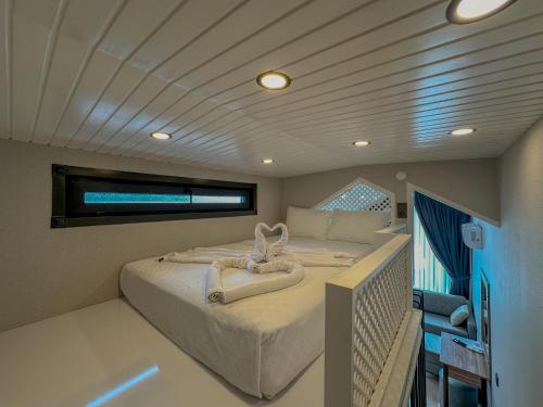 baronet tiny house butik otel