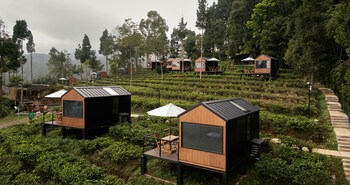 bobocabin dieng wonosobo