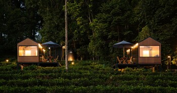 bobocabin dieng wonosobo