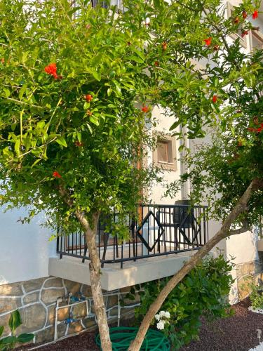 cennet hotel