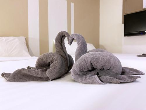 dconcept hotel kulim