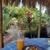 guaig bayahibe