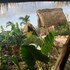 san rafael del yuma