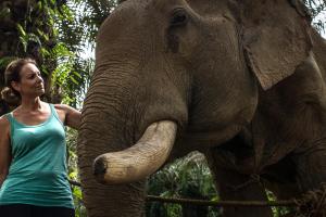 khao sok riverside cottage