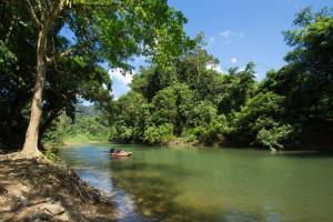 khao sok riverside cottage