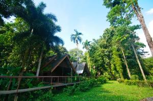 khao sok riverside cottage