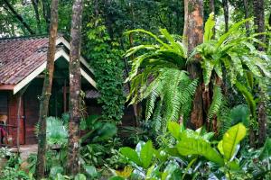 khao sok riverside cottage