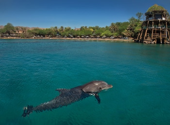 eilat