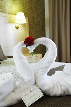 cactus royal spa and resort adults only