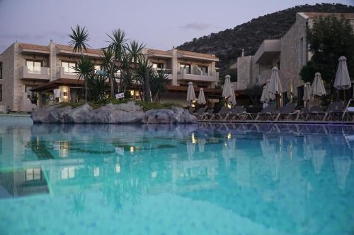 cactus royal spa and resort adults only