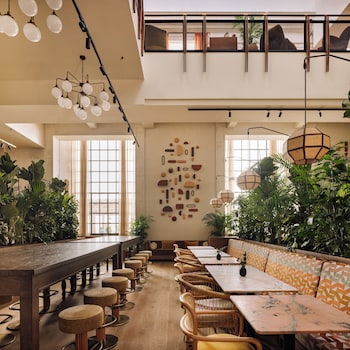 locke de santa joana