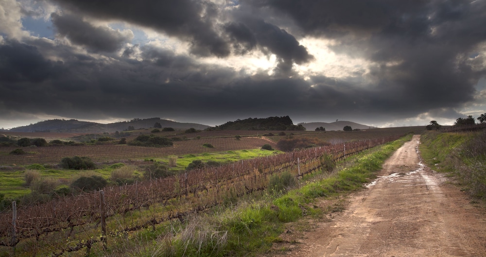 asara wine estate and hotel