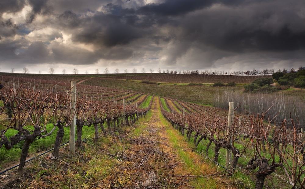 asara wine estate and hotel
