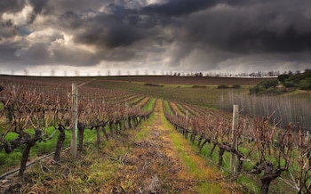 asara wine estate and hotel