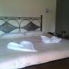 candolim