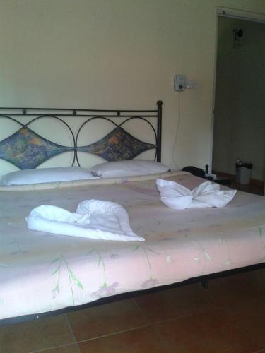 candolim