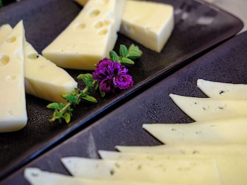 mercure larnaca city opening june 2024