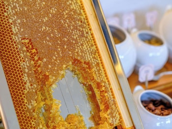 mercure larnaca city opening june 2024