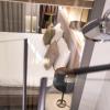 monalisa hotels canakkale