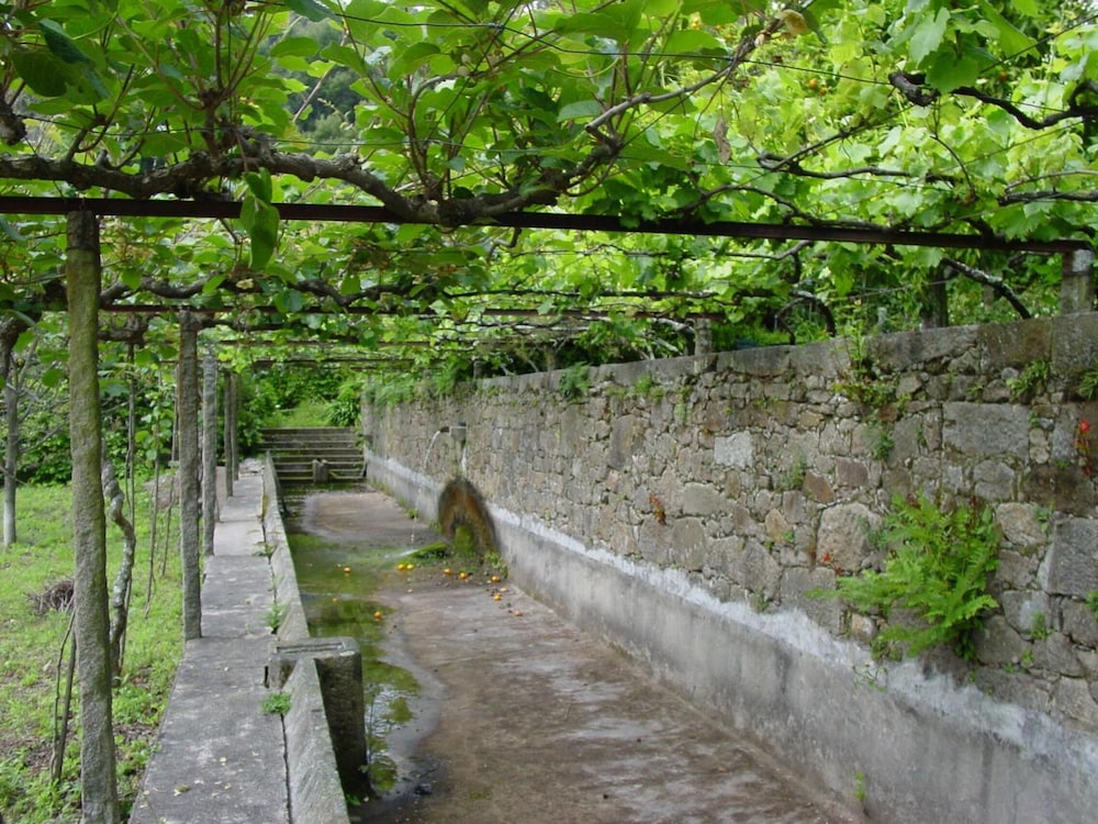 santo tirso