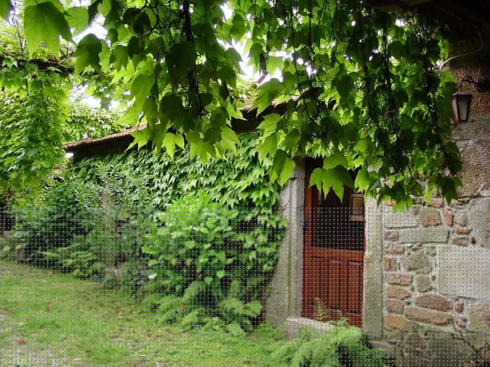 santo tirso