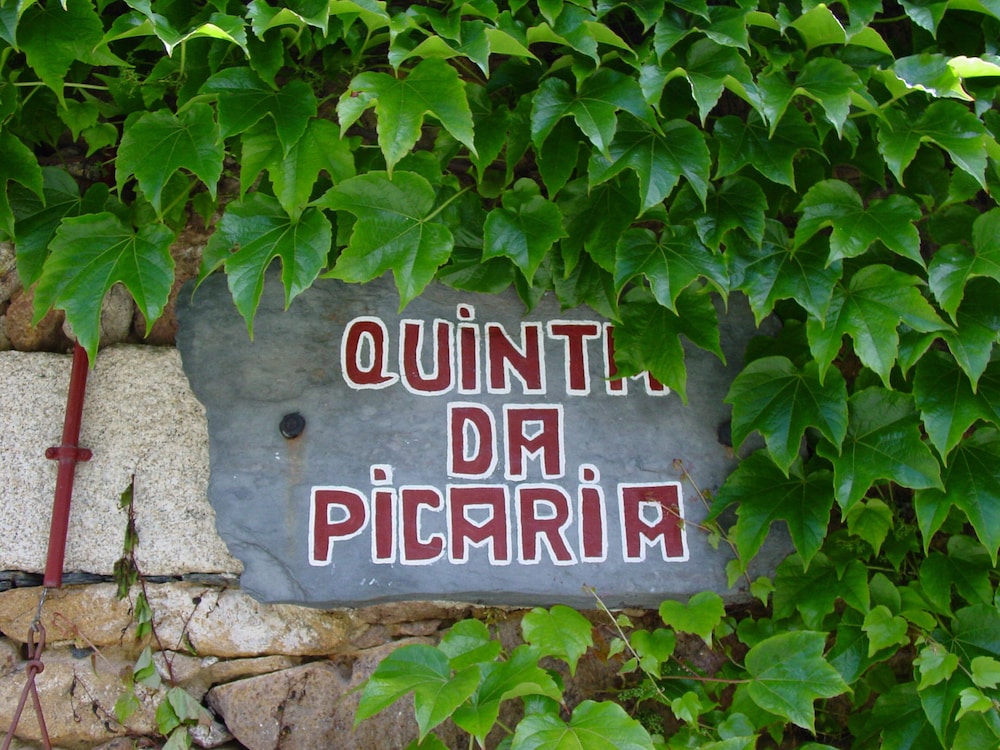 santo tirso