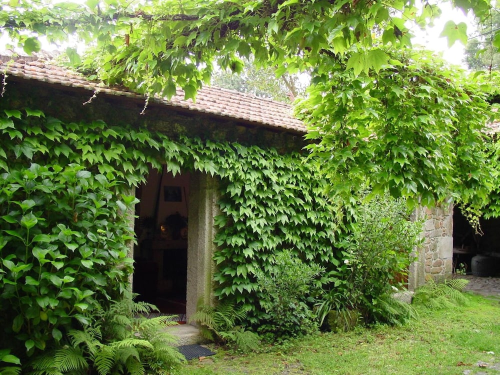 santo tirso