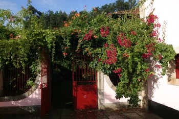 santo tirso