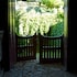 santo tirso