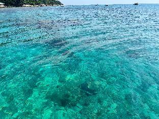 perhentian mamas