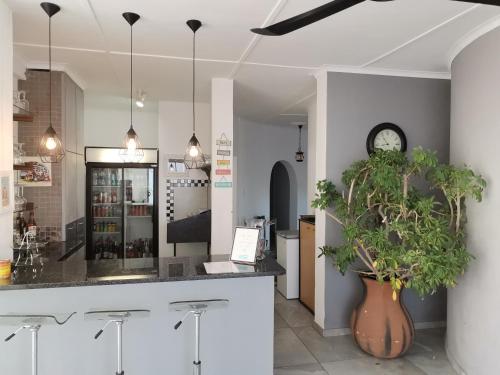 guesthouse terra africa