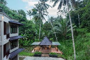 semana residences by cove