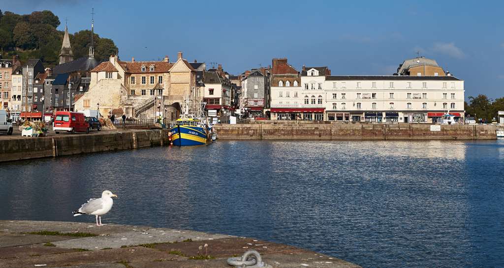 best western le cheval blanc vieux port