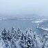 bolu