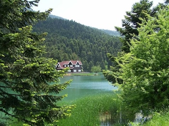 silver inn hotel and spa