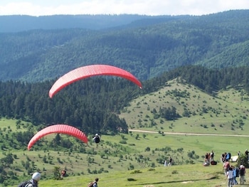 bolu